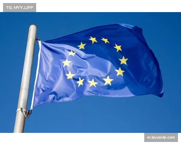 欧足联与足协判定细节存差异 非法使用手臂标准待明确